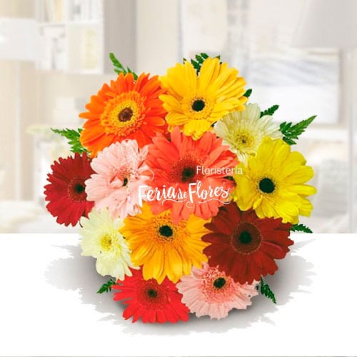 Gerbera bouquet