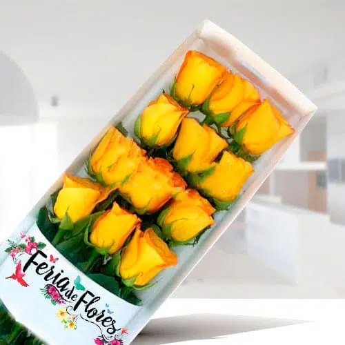 Caja de 12 Rosas Amarillas