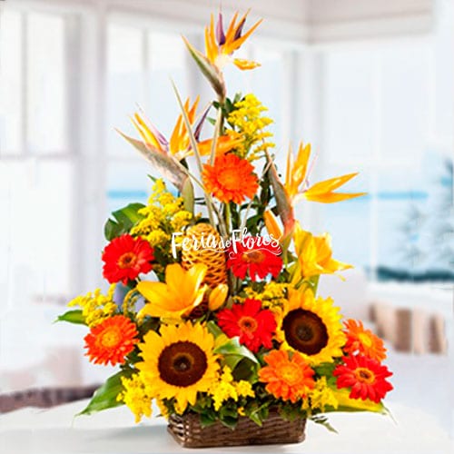 Columba Exotic Flower Arrangement