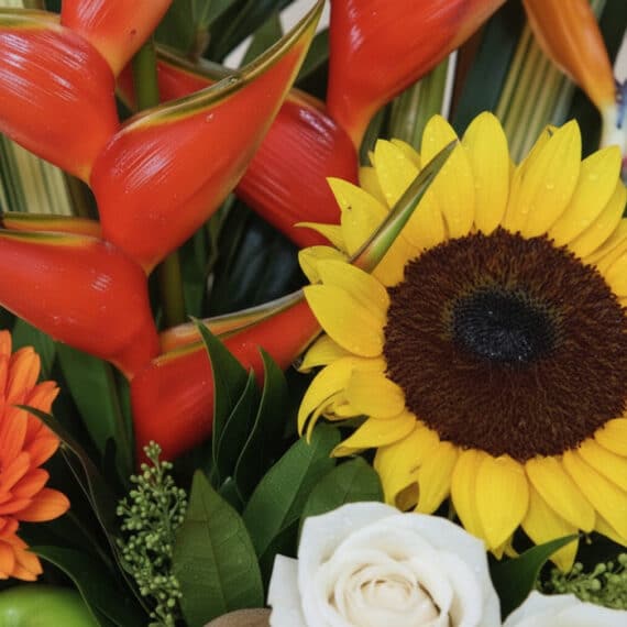 Primer plano extremo de un arreglo floral con girasol, heliconias rojas, rosa blanca y gotas de rocío, resaltando texturas y