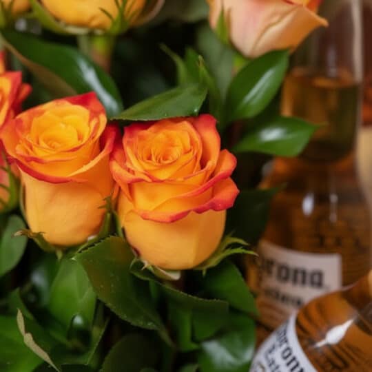 Primer plano de dos rosas naranjas con bordes rojos, hojas verdes frescas y botellas de cerveza Corona de fondo, resaltando l