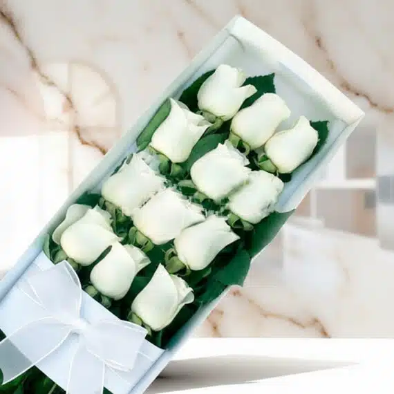 Caja de 12 Rosas Blancas: Elegancia y Frescura para Regalar Caja de 12 rosas blancas frescas con moño blanco, presentadas elegantemente sobre un fondo de mármol claro, ideal para ecomme
