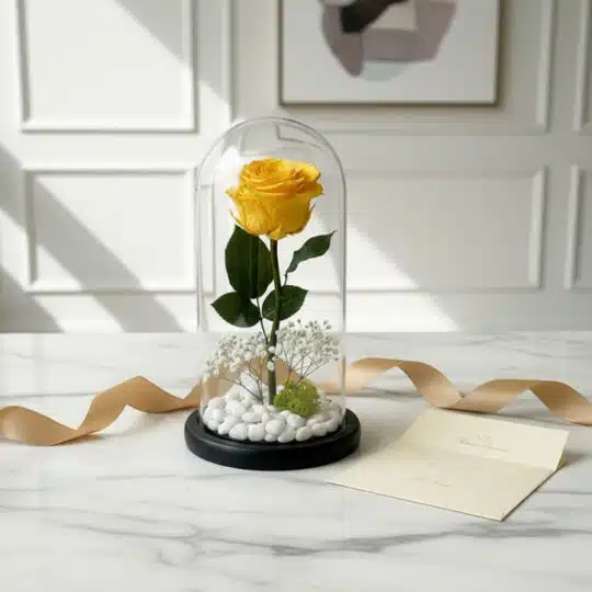 Rosa eterna amarilla en domo de cristal con base negra, rodeada de piedras blancas y musgo, acompañada de una tarjeta de rega